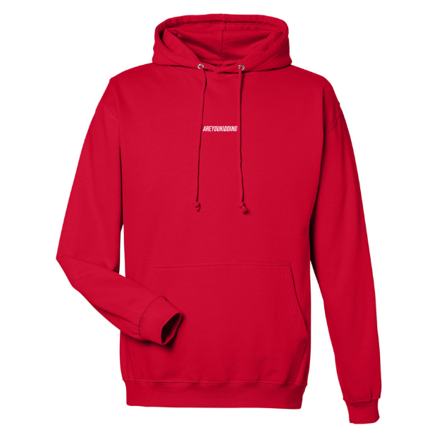 Are You Kidding Text Logo - Hoodie