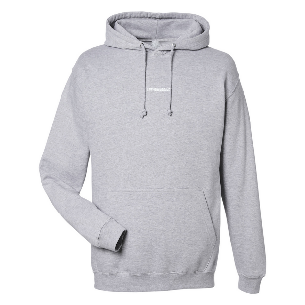 Are You Kidding Text Logo - Hoodie