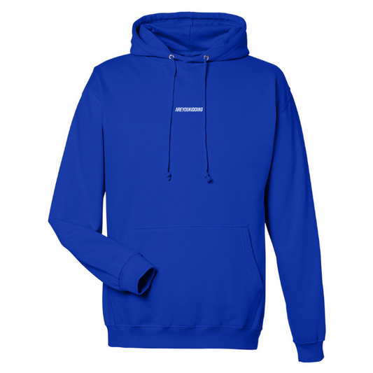 Are You Kidding Text Logo - Hoodie